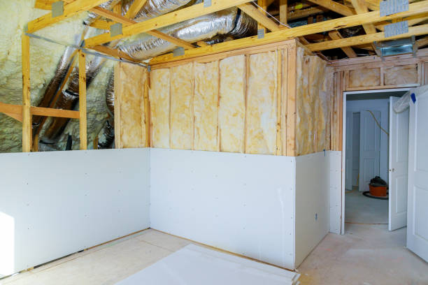 Best Insulation Maintenance and Repair in Wolverine Lake, MI
